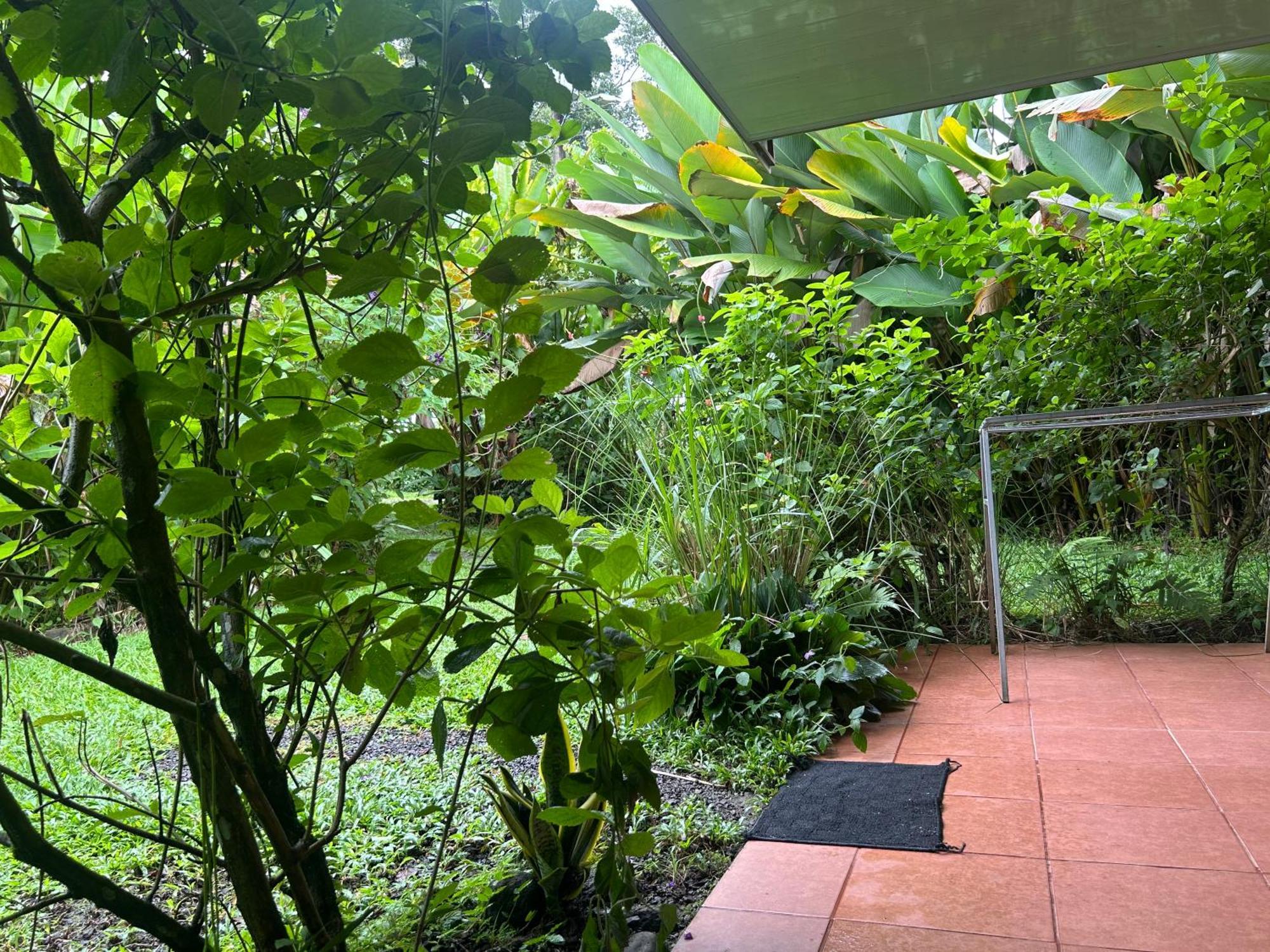 Granja Agua Azul, Wi-Fi,Ac-Wc,Parking,La Fortuna Екстериор снимка